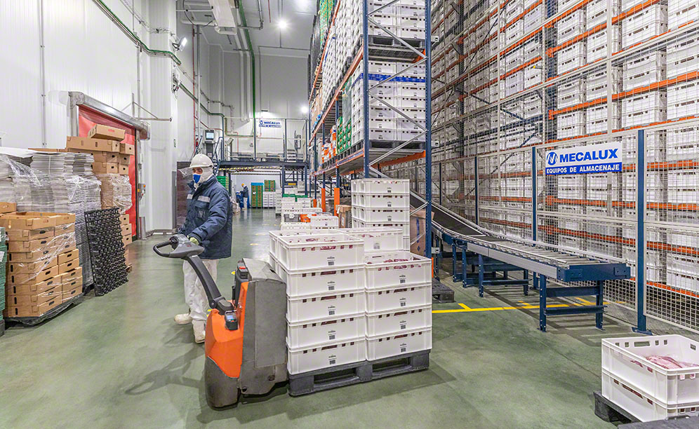 Armazenamento automático de mais de 32.000 caixas em temperatura refrigerada
